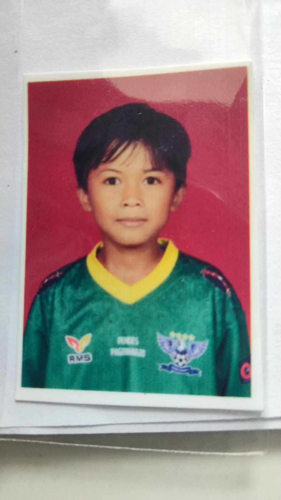 Risqi Alvin kurniawan
